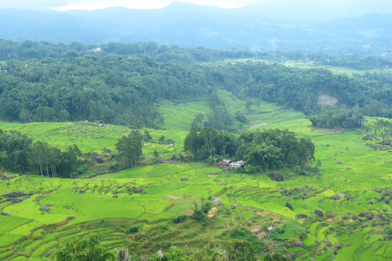 Toraja & Batutumonga Indonesia
